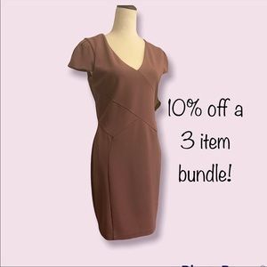 Mauve Business Dress - Express
